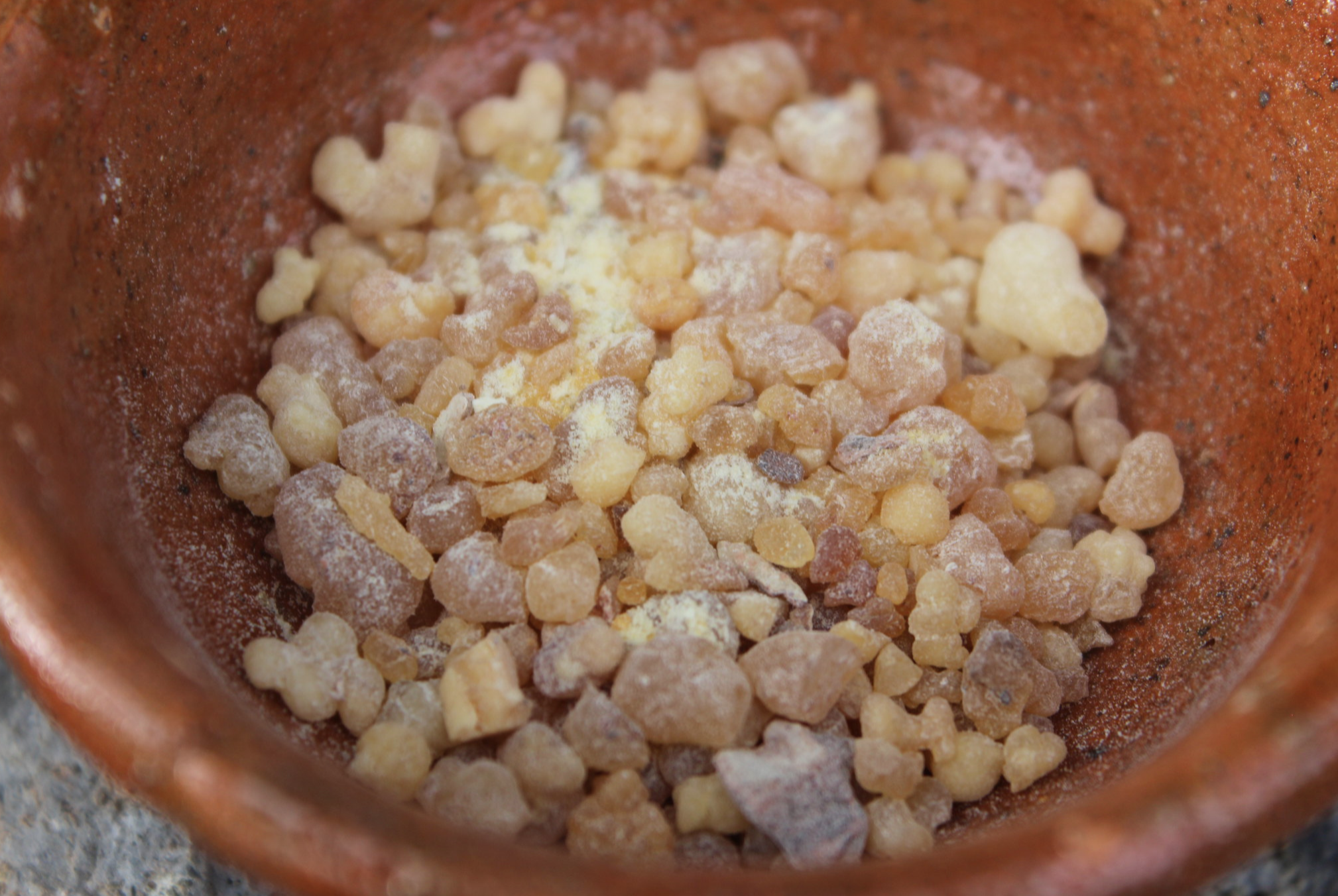 Frankincense resin of the Boswellia tree